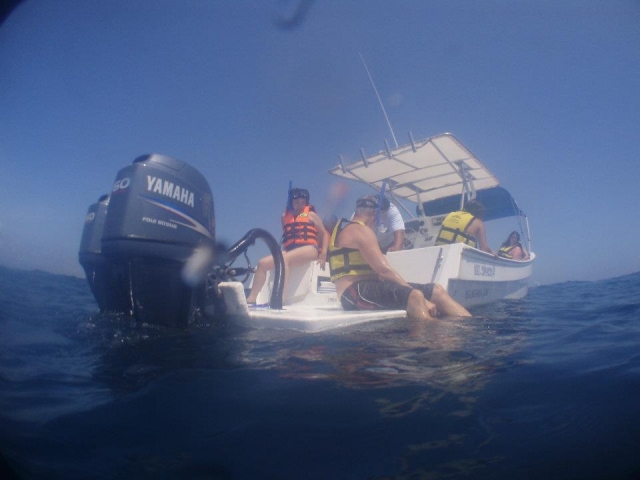 Lancha para el avistamiento